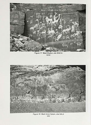 Rock art of the eastern desert of Egypt. Content, comparisons, dating and significance.[newline]M8190-06.jpeg