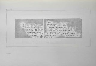 Monument de Ninive. Text and plates volumes (complete set)[newline]M8195c-44.jpeg