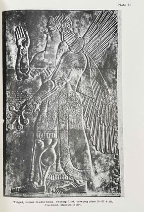 Reliefs from the Palace of Ashurnasirpal II[newline]M8203a-09.jpeg
