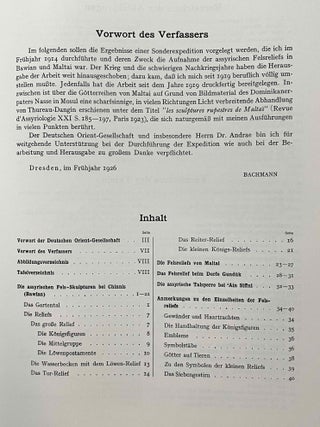 Felsreliefs in Assyrien, Bawian, Maltai und Gund&uuml;k[newline]M8211-06.jpeg