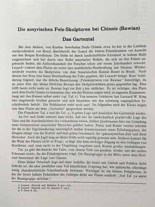 Felsreliefs in Assyrien, Bawian, Maltai und Gund&uuml;k[newline]M8211-08.jpeg