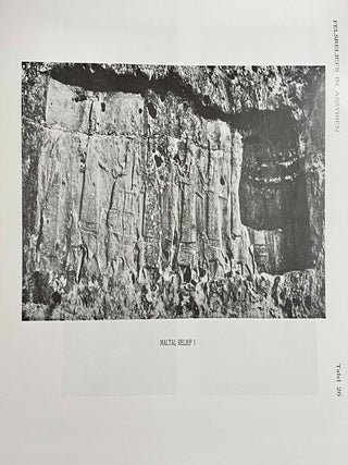 Felsreliefs in Assyrien, Bawian, Maltai und Gund&uuml;k[newline]M8211-15.jpeg