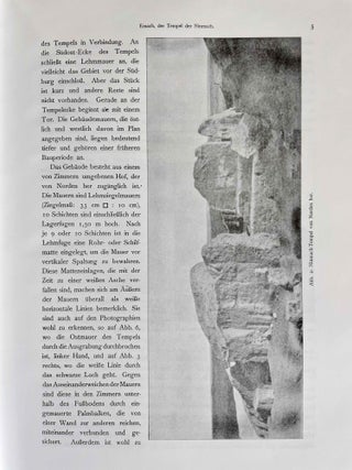 Die Tempel von Babylon und Borsippa. Nach den Ausgrabungen durch die deutsche Orient-Gesellschaft.
