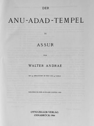 Der Anu-Adad-Tempel in Assur[newline]M8234a-02.jpeg