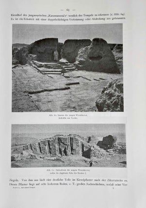 Der Anu-Adad-Tempel in Assur[newline]M8234a-10.jpeg