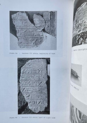 British Museum Expedition to Middle Egypt. Ashmunein (1982).[newline]M8271-04.jpeg