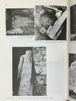 British Museum Expedition to Middle Egypt. Ashmunein (1985).