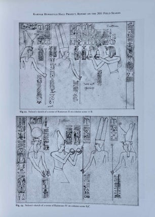 Cahiers de Karnak. Volume XIV (2013)[newline]M8314-09.jpeg