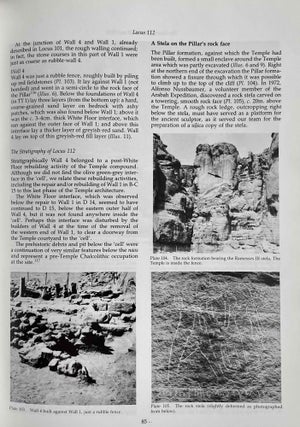The Egyptian Mining Temple at Timna. Researches in the Arabah 1959-1984.[newline]M8376-11.jpeg