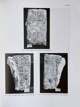 The Sculpture from the Sacred Animal Necropolis at North Saqqâra, 1964-76[newline]M8392-10.jpeg