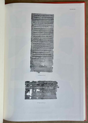Les papyrus et les ostraca grecs d'Elephantine (P. et O.Eleph. DAIK).[newline]M8459-08.jpeg