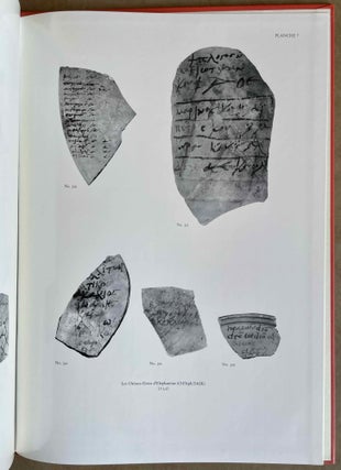 Les papyrus et les ostraca grecs d'Elephantine (P. et O.Eleph. DAIK).[newline]M8459-09.jpeg