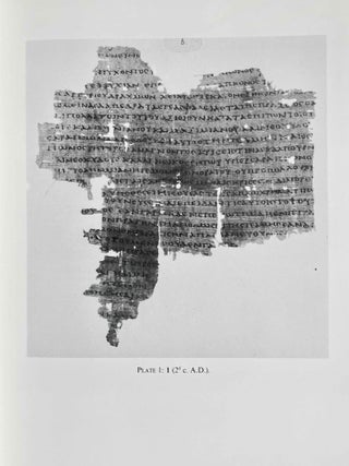The Cairo-Preisigke papyri. Plates.[newline]M8463-03.jpeg