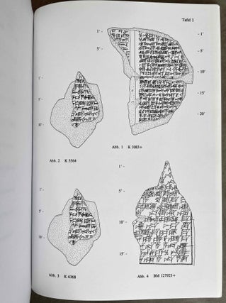 Die assyrischen Eroberungen Ägyptens. Teil I: Kommentare und Anmerkungen. Teil II: Texte in Umschrift (complete set)[newline]M8477-06.jpeg