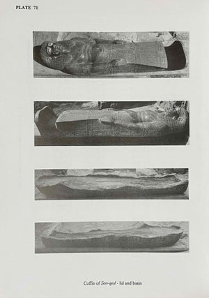 A Tomb from the Reign of Tutankhamun at Akhmim[newline]M8484a-08.jpeg