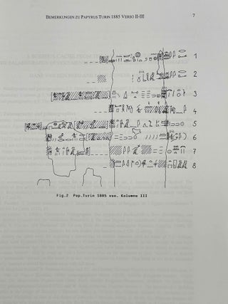 Deir el-Medina in the third millennium AD. A tribute to Jac. J. Janssen.[newline]M8485a-06.jpeg