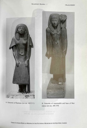 Deir el-Medina in the third millennium AD. A tribute to Jac. J. Janssen.