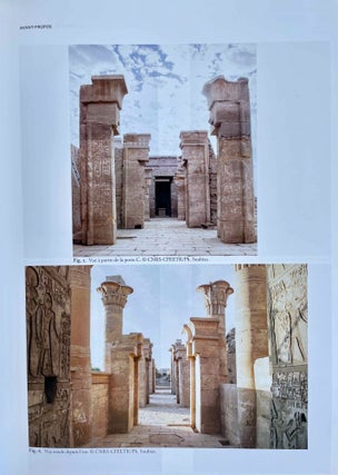 Le temple de Ptah à Karnak. Vol. I: relevé épigraphique (Ptah, nos 1-191). Vol. II: relevé photographique (Jean-François Gout) (complete set)[newline]M8495-11.jpeg