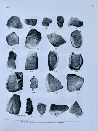 Mirgissa V. Les empreintes de sceaux. Aperçu sur l'administration de la Basse Nubie au Moyen Empire.[newline]M8498-11.jpeg