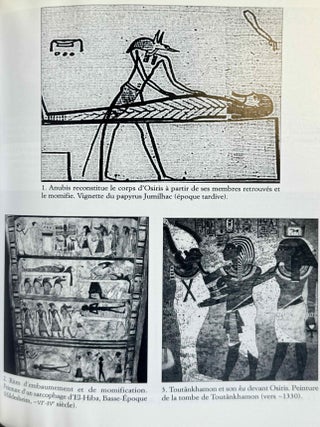 Mort et au-del&agrave; dans l'Egypte ancienne[newline]M8527b-04.jpeg