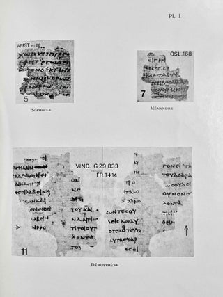 Papyrus littéraires grecs[newline]M8536-07.jpeg