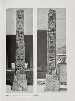 Der Isiskult im antiken Benevent und Katalog der Skulpturen aus den ägyptische Heiligtümern im Museo del Sannio[newline]M8555-08.jpeg