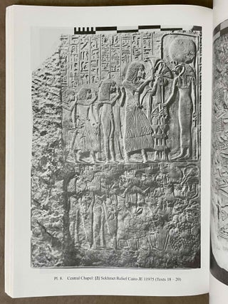 Amenemone the Chief Goldsmith. A New Kingdom Tomb in the Teti Cemetery at Saqqara.[newline]M8557-06.jpeg