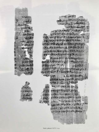 Ein demotisches juristisches Lehrbuch. Untersuchungen zu Papyrus Berlin P 23757 rto.[newline]M8573-10.jpeg