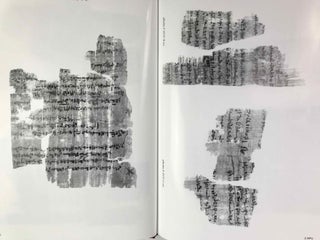 Ein demotisches juristisches Lehrbuch. Untersuchungen zu Papyrus Berlin P 23757 rto.[newline]M8573-11.jpeg