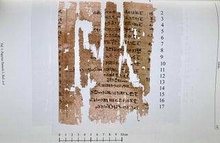 Papyrus Tamerit 1. Ein Ritualpapyrus der ägyptischen Spätzeit.