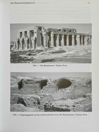 Der Ramesseumspapyrus E. Ein Ritualbuch f&uuml;r Bestattungen aus dem Mittleren Reich.