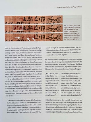 Papyrus Ebers. Die größte Schriftrolle zur altägyptischen Heilkunst.[newline]M8631-11.jpeg