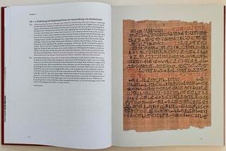 Papyrus Ebers. Die größte Schriftrolle zur altägyptischen Heilkunst.[newline]M8631-14.jpeg