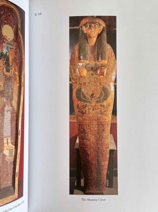 Ritual scenes on the two coffins of P3-dj-imn in Cairo Museum