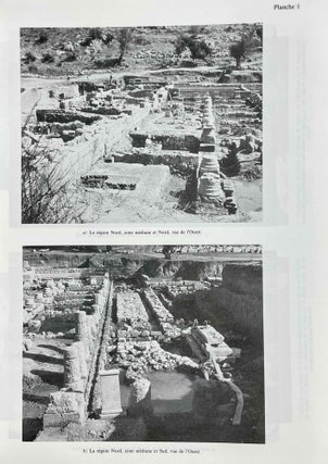 Fouilles de Xanthos, tome VIII: Le monument des néréides. Le décor sculpté. Tome I: Texte. Tome II: Planches (complete)[newline]M8737-05.jpeg