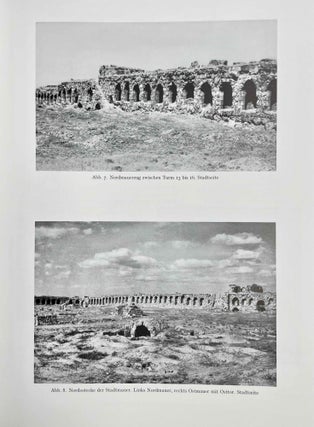 Die Stadtmauer von Resafa in Syrien[newline]M8770-11.jpeg
