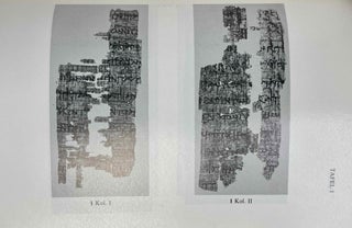 Die verkohlten Papyri aus Bubastos (I)