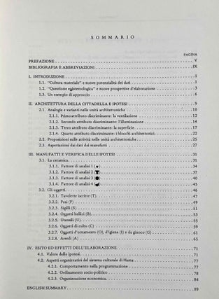 La cittadella aramaica di Hama. Attivita, funzioni e comportamento.
