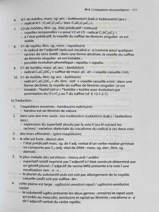 Pratique de la grammaire akkadienne. Exercices et corrig&eacute;s.[newline]M8832c-03.jpeg