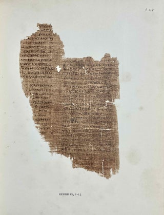 The Chester Beatty Biblical Papyri Descriptions and Texts of Twelve Manuscripts on Papyrus of the Greek Bible. Fasciculus IV: Genesis (Pap. IV), Plates (only)[newline]M8865-06.jpeg