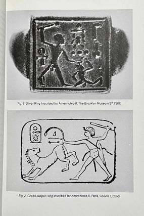 The Pharaoh smites his enemies. A comparative study.[newline]M8919-06.jpeg