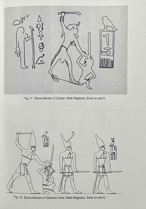 The Pharaoh smites his enemies. A comparative study.[newline]M8919-07.jpeg