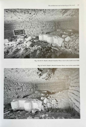 Abusir XXIII: The Tomb of the Sun Priest Neferinpu (AS 37)[newline]M8983-09.jpeg