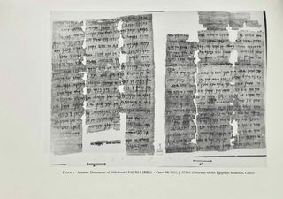 The Elephantine papyri in English. Three millennia of cross-cultural continuity and change.[newline]M9013a-16.jpeg