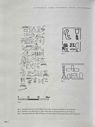 El-Hawawish Tombs, Sarcophagi, Stelae. Palaeography.[newline]M9027b-08.jpeg