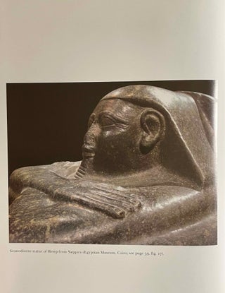 Archaism and Innovation. Studies in the Culture of Middle Kingdom Egypt.[newline]M9040-01.jpeg
