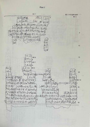 The golden book of the dead of Amenemhet. Ptoronto Rom 910.85.236.1-13.[newline]M9045-07.jpeg