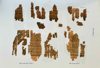 The golden book of the dead of Amenemhet. Ptoronto Rom 910.85.236.1-13.[newline]M9045-08.jpeg