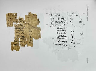 The Demotic and Hieratic Papyri in the Suzuki Collection of Tokai University[newline]M9057-13.jpeg