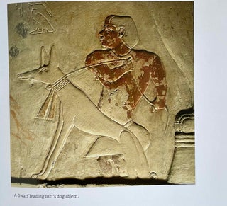 Unearthing Ancient Egypt. Fifty years of the Czech Archaeological exploration in Egypt.[newline]M9091-21.jpeg